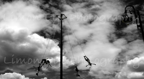 Papantla Flyers Photography is copyrighted and remains with the photographer. Images may not be