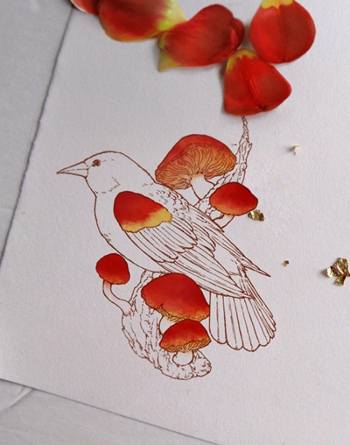 Inktober 18- I guess I’m in a red mood this week&hellip; Redwing blackbirds and scarlet waxcaps are 