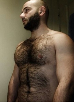  The two hairy men blogs: http://sambrcln.tumblr.com http://hairysex.tumblr.com