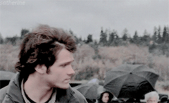 satherine:sam themes. theme one: aesthetics. (ii) favorite hairstyle.