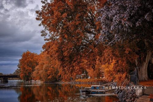 Autumn. #thomasduncanphotography (at Saint-Jean-sur-Richelieu, Quebec) https://www.instagram.com/p/C
