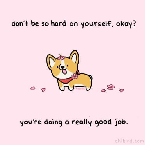 chibird — A small corgi pup to remind us that we are in...