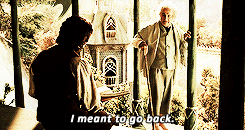 lois-lane:  Middle-earth meme ♔ [1/7] quotes 