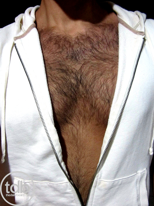 hot4hairy:  COLLAR COLLECTION…I love that little preview of a guy’s hairy chest