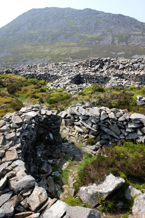 Tre’r Ceiri Iron Age Hillfort on the Llyn Peninsula of North Wales. I spent a fantastic sunny aftern