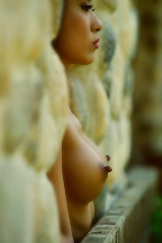 The Sensual Orient