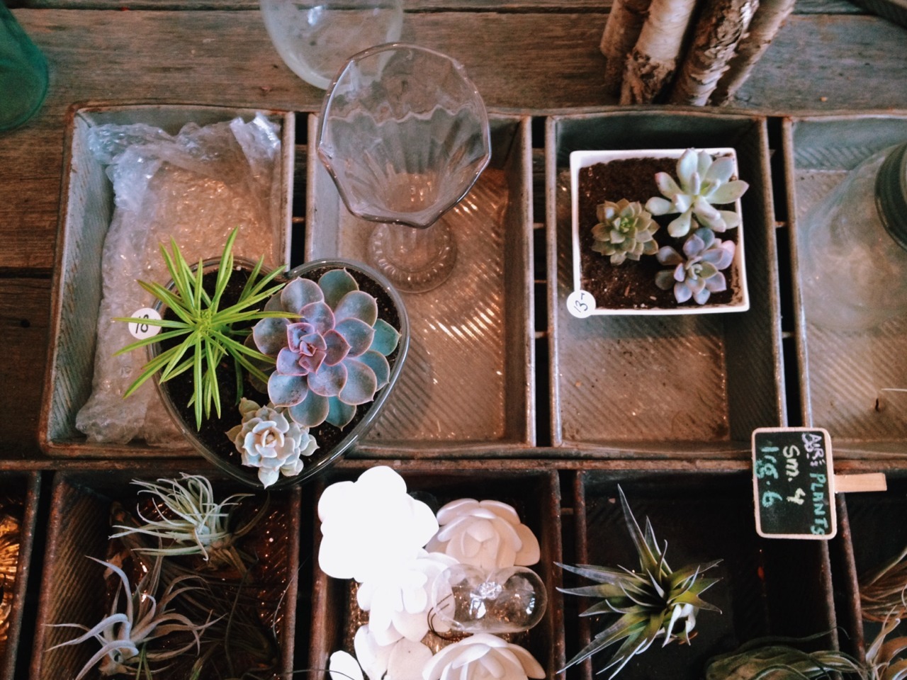 paulinenguyen:  The Stem / January 2014 / Toronto