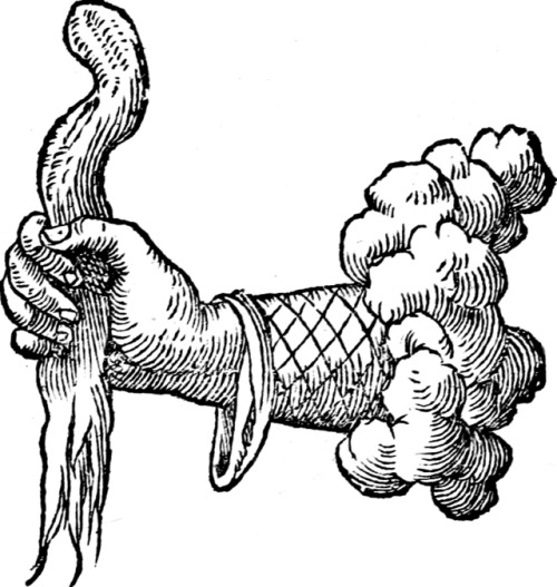 deathandmysticism:Claude Paradin, Devises Heroïqves, 1557