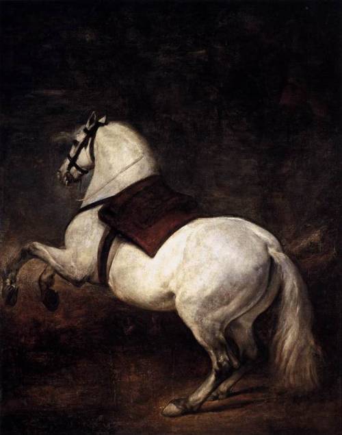 artist-diego-velazquez: A White Horse, 1635, Diego Velázquez Medium: oil,canvaswww.wi