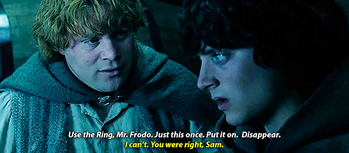 Frodo wouldn’t have got far without Sam.