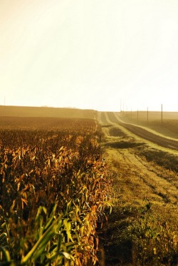 kansas country