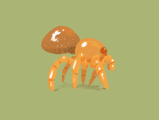 Insect designs part 2