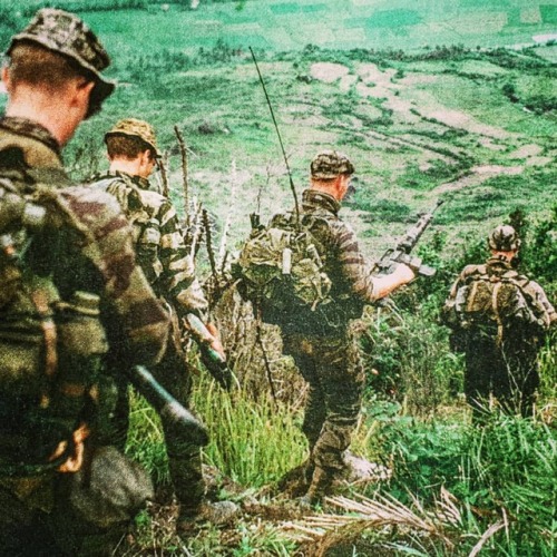 Vietnam War Tiger Stripe Camouflage BDU Collection