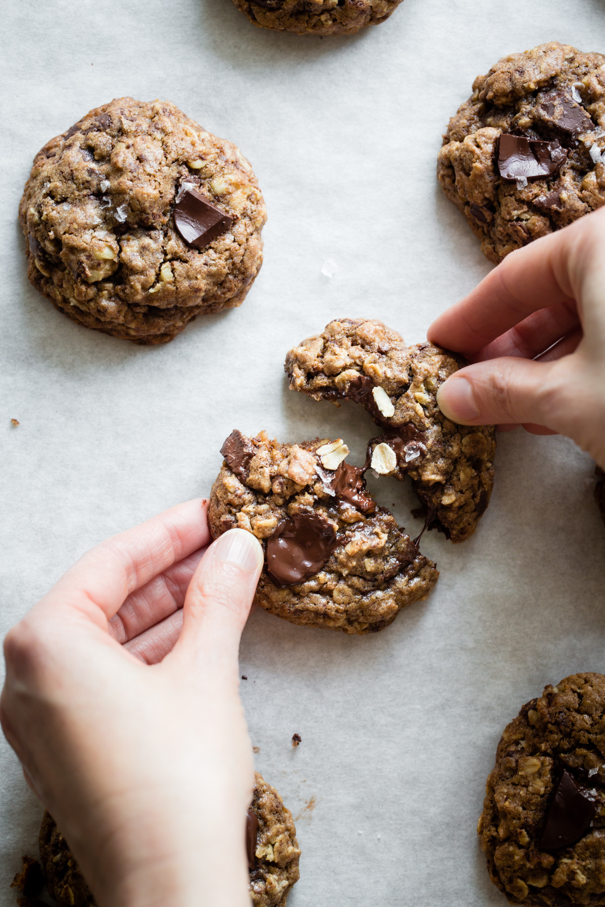 sweetoothgirl:  gluten-free oatmeal teff chocolate chip cookies &amp; cookie