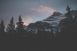 teapalm:  (Tasha Marie) | Sunrise // Banff, AB