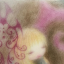 thegingersnapcat11111111111
