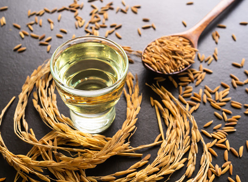 Rice Bran Oil Market Size, Scope And Outlook