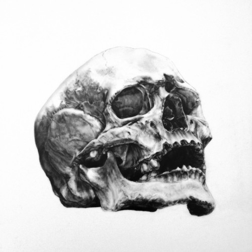 red-lipstick:  Brittany Schall (b. 1985, Littleton, CO, USA) - 1: Constantine  Jacic, 2014  Drawings: Graphite  2: Skull, 2010  Mixed Media on Mylar  3: Goodwill Fernando, 2014  Drawings: Graphite 