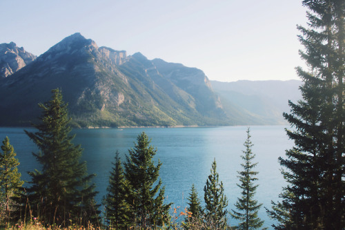 matchbox-mouse:On a drive through British Columbia.