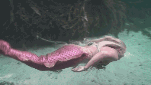 lolablueyes713:  onesubsjourney:  british-swimchick:  sh1p-art:  fantasticmilkshakecherryblossom: