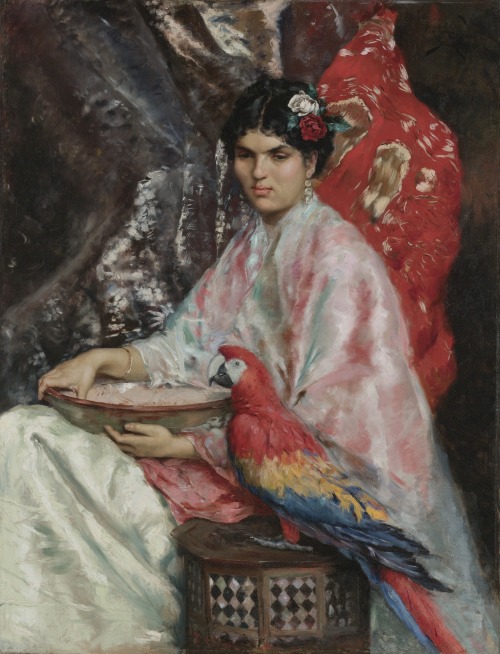 daemonomicon:Women & their Bird Dæmons. I .The Grey Parrot, Walter Howell Deverell |  Girl With 