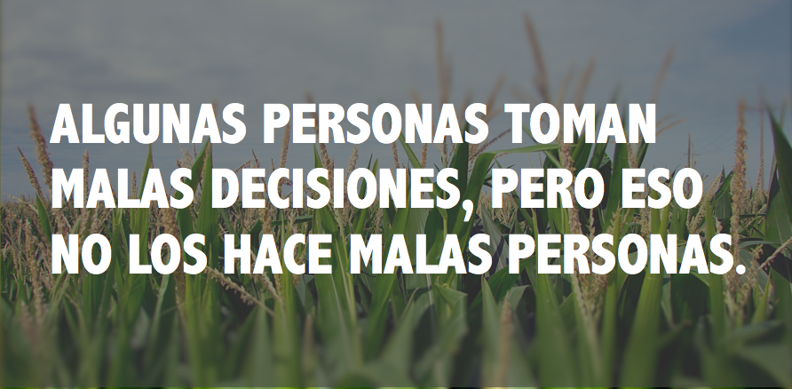 pierde-la-panza:  Todos cometemos errores …