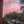 joetrohhman:  imagine:  30 years from now, you have just dropped your kid off at school. you decide to drive around for a bit, turning on the classic rock station. a song had just started playing. the intro sounded incredibly familiar, then the man began