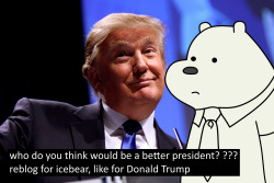 ask-cloud-skipper:  Icebear all the way 