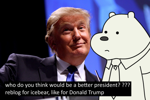 mrszaybabineaux:THAT IS A VERY CUTE BEAR AND I AUTOMATICALLY TRUST IT MORE THAN DONALD TRUMP