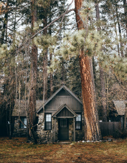 jasonincalifornia:  Yosemite Cabin