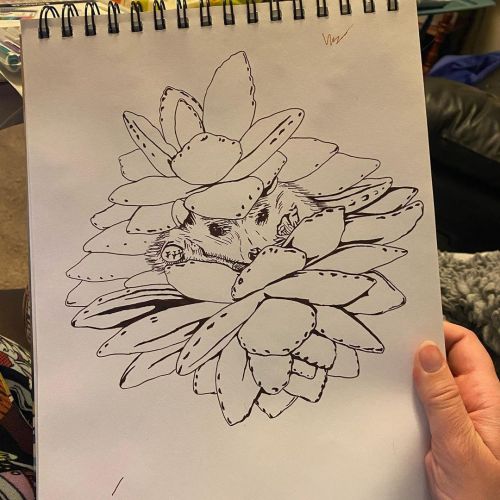 New #succulent #hedgehog #drawing in my #sketchbook with #pandapawsucculent ...#wip #workinprogress 