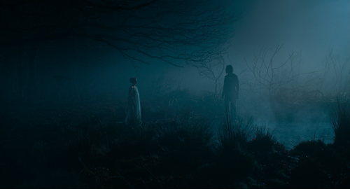 The Green Knight (2021)Dir. David LoweryCinematography: Andrew Droz Palermo