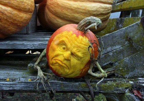 The amazing pumpkin carving art of Ray Villafane of Arizona