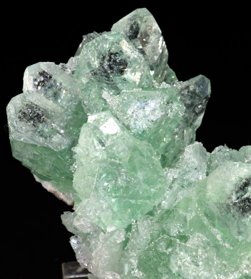 fuckyeahmineralogy:  Apophyllite; Pashan, Maharashtra, India