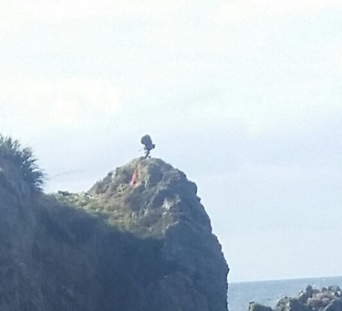 gwendy85: mweerden: nonibear11: New Photos from Episode 8 set Filming for Star Wars Episode VIII is 
