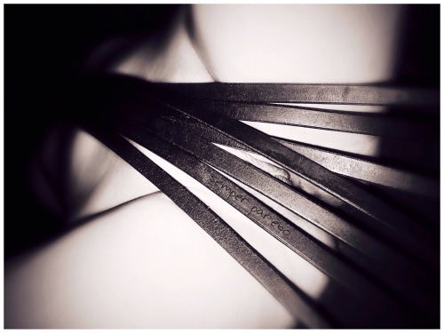 semper-parebo: …my masters favorite flogger…