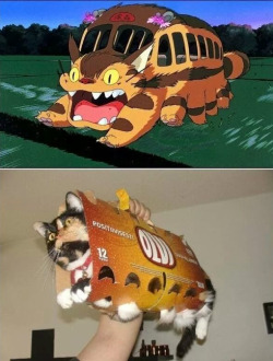 ghibli-collector:  ネコバス NEKOBASU!