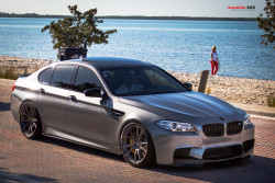 jerefizzy:  carpr0n:  Starring: BMW M5 (by