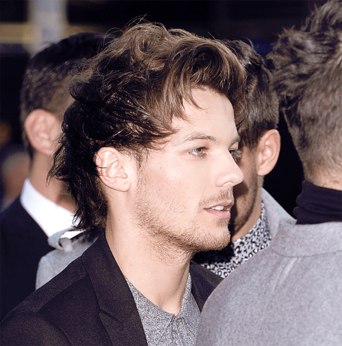 fuckyeahlouis: November 24th - AMAs