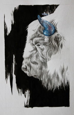 eatsleepdraw:  Space cow. My tumblr