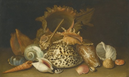 Still Life of Sea-Shells, circle of Antoine Berjon, early 19th century