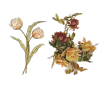 dead flowers