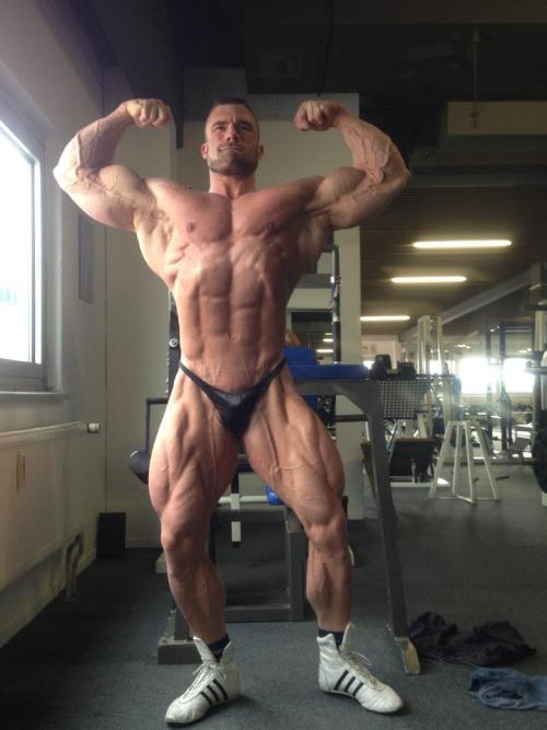 mitos:  Roman Fritz (2013) (via)