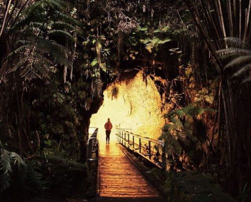 it&rsquo;s lava tube tuesday #kumadrids #bigisland #hawaii #lava #volcanonationalpark