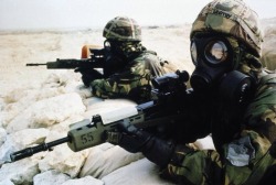 fnhfal:  The gulf war