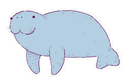 eliasericson:  bunch of manatees!! tattoo