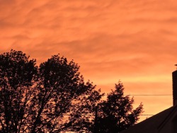 contraesthetic:  post thunderstorm sunset - the world is on fire 