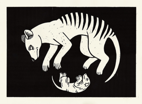 Thylacine Woodcut