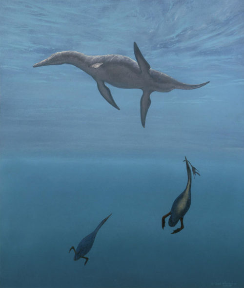 Pliosaur and Hesperornis by Doug Henderson