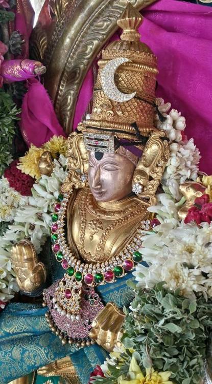 Shiva and Parvati in procession, Tamil Nadu